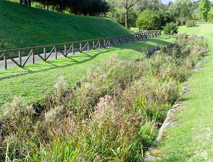 Image of a sustainable urban drainage system (SuDS).